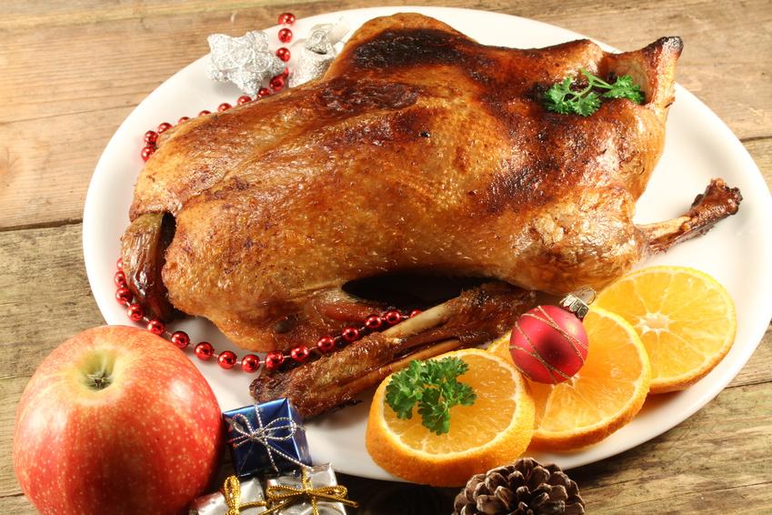 Ente, Weihnachtsente, Grillente -