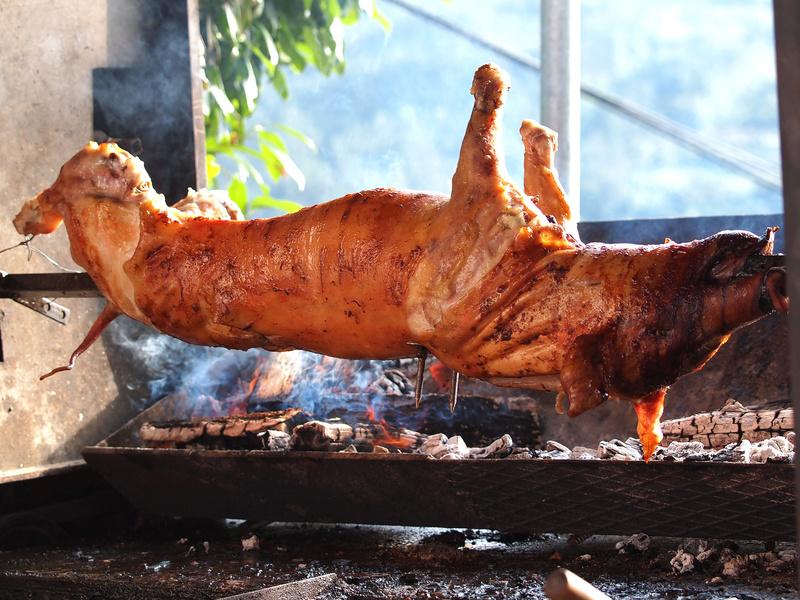 Spanferkel, ganzes Ferkel -